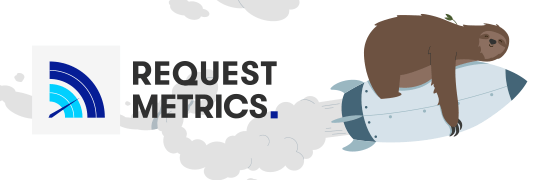 Website Performance Monitoring by Request Metrics
